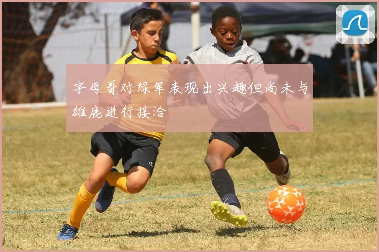 字母哥对绿军表现出兴趣但尚未与雄鹿进行接洽