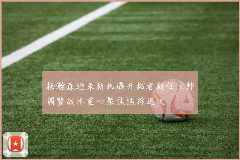 杨瀚森迎来新机遇开拓者新任主帅调整战术重心聚焦挡拆进攻